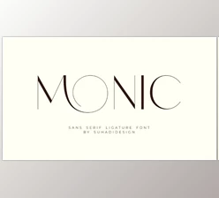 Download Monic Modern Ligature Font (Creative Market 291650560)