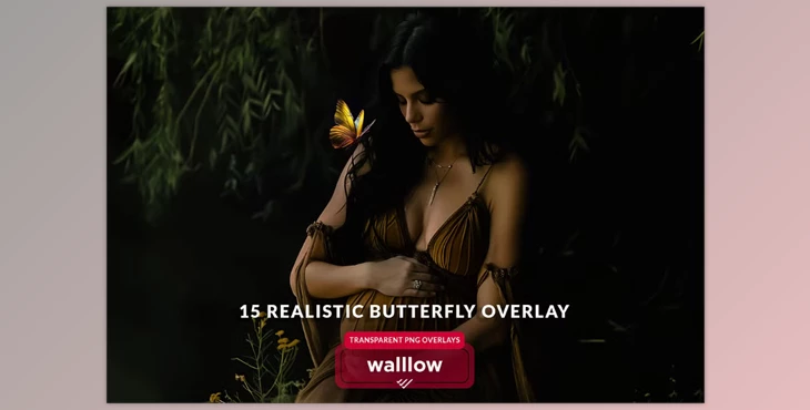 Download Butterfly png transparent overlays (Creative Market 278535981)