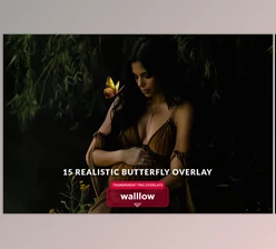 Download Butterfly png transparent overlays (Creative Market 278535981)