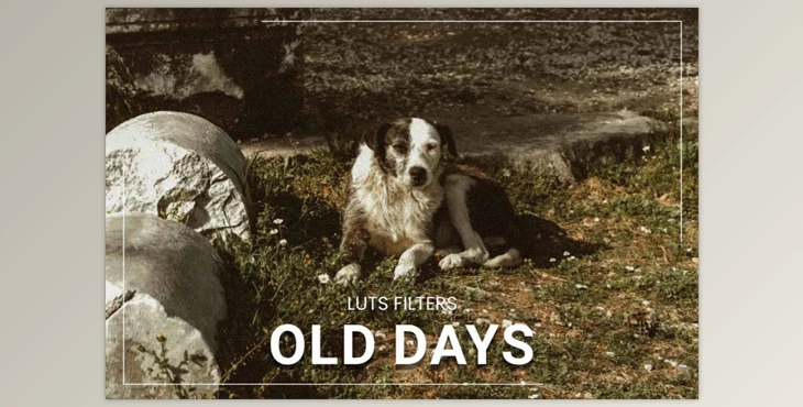 FilterGrade - Download 30 Old Days LUT Collection