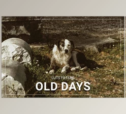 FilterGrade - Download 30 Old Days LUT Collection