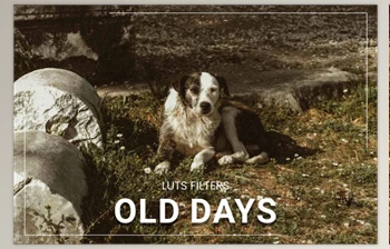 FilterGrade - Download 30 <span class='badge badge-warning'>Old</span> Days LUT Collection