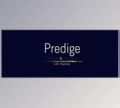 MyFonts - Download Predige - Condensed & Constructed Font Family 14xOTF