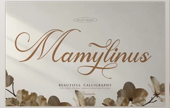 Download Mamylinus | Beautiful <span class='badge badge-warning'>Calligraphy</span> (Creative Market 291430974)