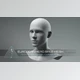 Gumroad - Download Universal Human European Head Base Mesh v3.0