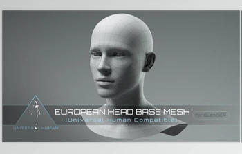 Gumroad - Download Universal Human European <span class='badge badge-warning'>Head</span> Base Mesh v3.0