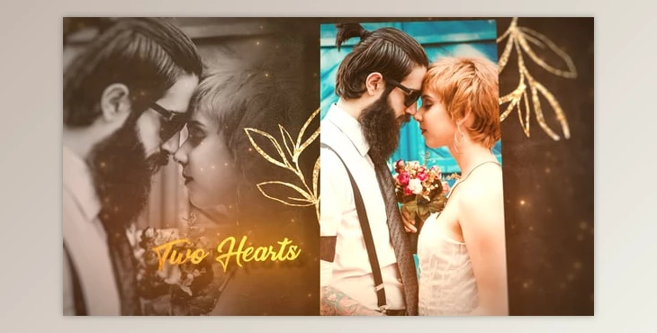 Download Golden Wedding Slideshow (Videohive 59040628) - AE Project