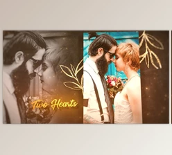 Download Golden Wedding Slideshow (Videohive 59040628) - AE Project