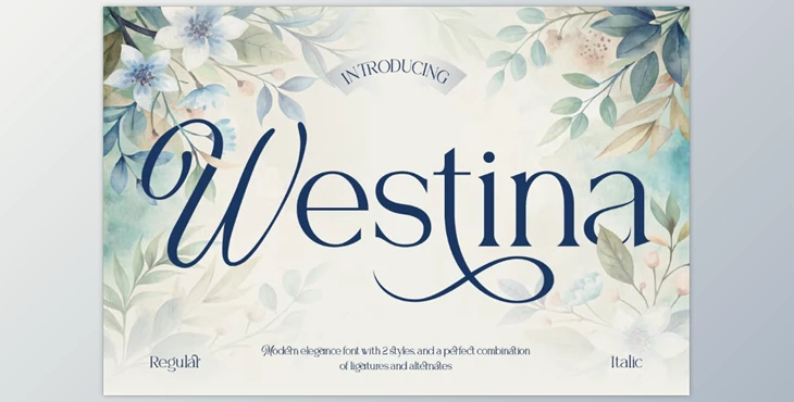 Download Westina Serif Font (Creative Market 291668737)