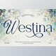 Download Westina Serif Font (Creative Market 291668737)