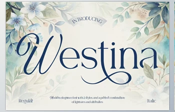 Download Westina Serif <span class='badge badge-warning'>Font</span> (Creative Market 291668737)