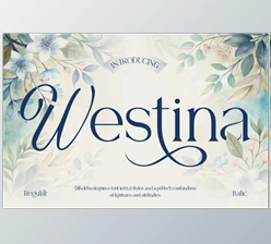 Download Westina Serif Font (Creative Market 291668737)