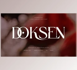 Download Doksen Elegant Serif Font (Creative Market 291569661)