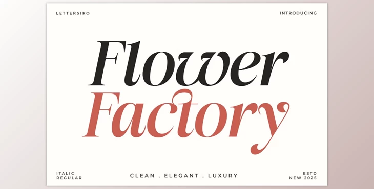 Download Flower Factory Stylish Modern Serif Font (Creative Market 291658136)