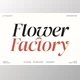 Download Flower Factory Stylish Modern Serif Font (Creative Market 291658136)
