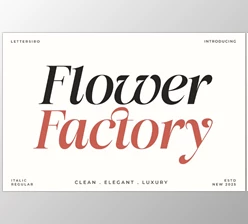 Download Flower Factory Stylish Modern Serif Font (Creative Market 291658136)