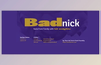 MyFonts - Download Badnick <span class='badge badge-warning'>Font</span> Family 42xOTF
