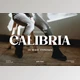 Download Calibria – Bold & Elegant Serif (Creative Market 291565517)