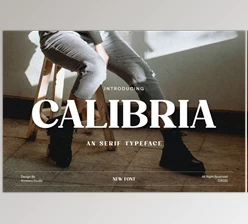 Download Calibria – Bold & Elegant Serif (Creative Market 291565517)