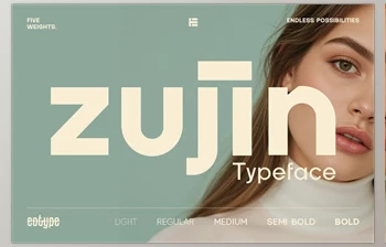 Download Zujin <span class='badge badge-warning'>Geometric</span> Sans Serif (Creative Market 291685726)
