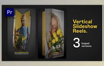 Download Vertical Slideshow <span class='badge badge-warning'>Reels</span> | Premiere Pro (Videohive 59016692)