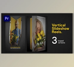 Download Vertical Slideshow Reels | Premiere Pro (Videohive 59016692)
