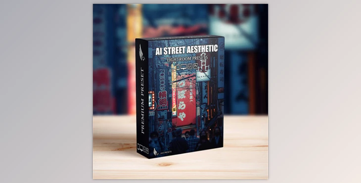 Download AI-Optimized Street Aesthetic Lightroom Presets (Videohive 57345277)