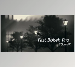 Rowbyte - Download Fast Bokeh v2.0.9 OFX (Win)