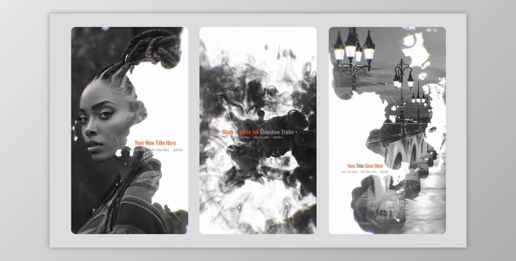 Download Black and White Vertical Ink Slideshow (Videohive 58781306) - AE Project