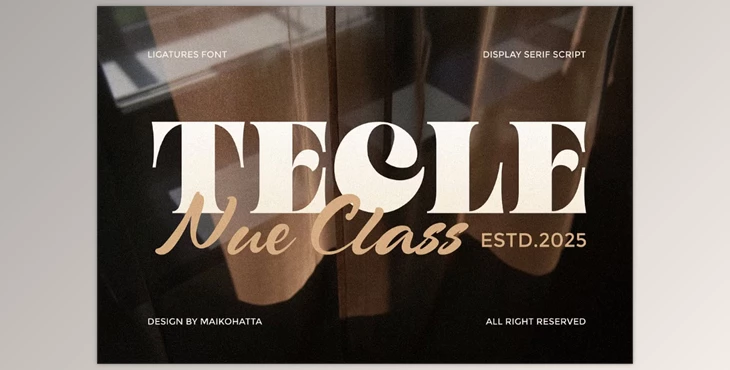 Download Tecle Font Duo Typeface (Creative Market 291693303)