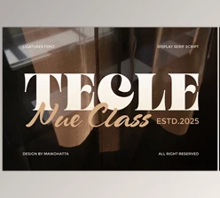 Download Tecle Font Duo Typeface (Creative Market 291693303)