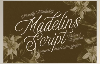Download Madelins <span class='badge badge-warning'>Script</span> (Creative Market 291679496)