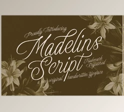 Download Madelins Script (Creative Market 291679496)