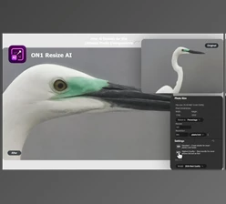 Download ON1 Resize AI 2026.3 v20.3.1.18535 (Win, Mac)