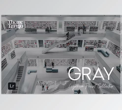 Download 10 Grayscale Lightroom Presets (Creative Market 291245944)