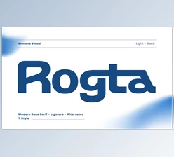 Download Rogta Modern Family Sans Serif (Creative Market 291718558)