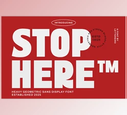 Download Stop Here Bold Sans Font (Creative Market 291704456)