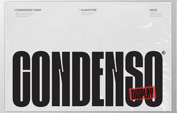 Download Condenso Condensed <span class='badge badge-warning'>Font</span> (Creative Market 291710163)