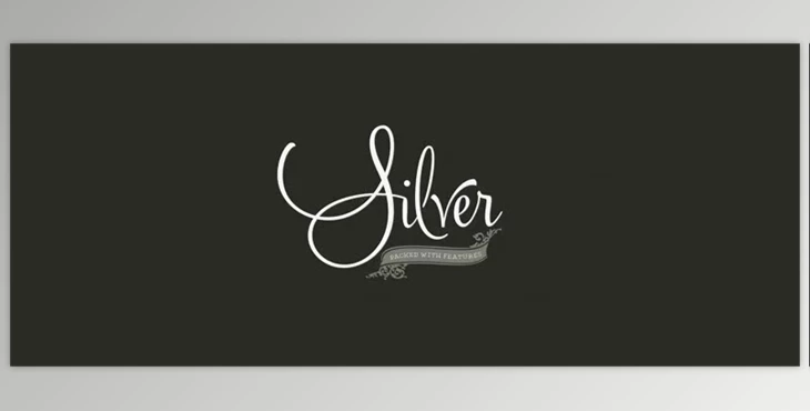 MyFonts - Download Silver Font Family 3xOTF