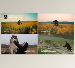 Download Watercolor Effect Davinci Resolve (Videohive 58876998)