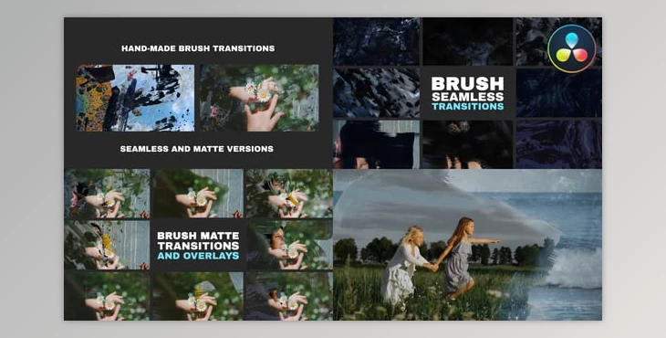 Download Hand-Made Brush Transitions And Overlays | DaVinci Resolve (Videohive 58816446)