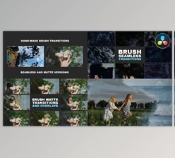 Download Hand-Made Brush Transitions And Overlays | DaVinci Resolve (Videohive 58816446)