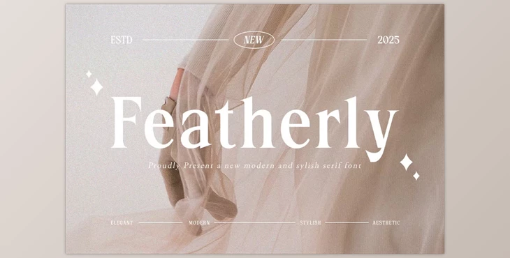 Download Featherly – Modern & Stylish Serif (Creative Market 291564813)