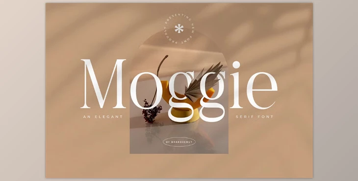 Download Moggie - Elegant Modern Serif Font (Creative Market 291681327)