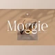 Download Moggie - Elegant Modern Serif Font (Creative Market 291681327)