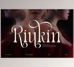 Download Riukin Elegant Serif Font (Creative Market 291669416)