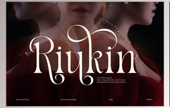 Download Riukin Elegant Serif <span class='badge badge-warning'>Font</span> (Creative Market 291669416)