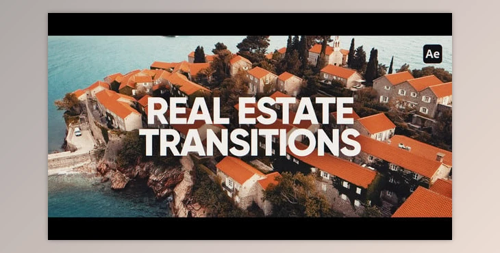 Download Real Estate (Videohive 59529221) - AE Project