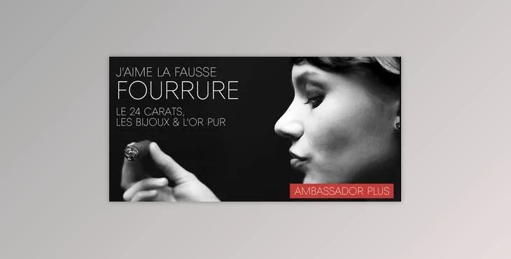 My Fonts - Download Ambassador Plus Font Family 4xOTF