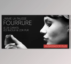 My Fonts - Download Ambassador Plus Font Family 4xOTF